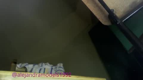 Alejandra online show from December 21, 8:09 am