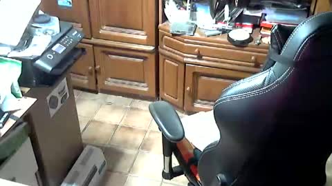 Snapshot of androgynia1 chatting on October 17, 11:58 am androgynia online show from October 17, 11:58 am