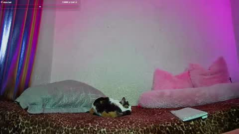   online show from May 13, 5:49 am