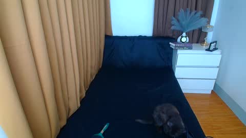 ARABELLA online show from March 9, 12:21 am