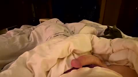 silky sissy sarah online show from January 28, 11:17 am