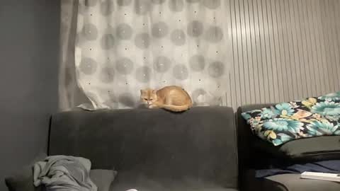 CHESKA not for free online show from October 17, 8:51 am