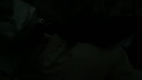 Addams online show from April 2, 3:04 am