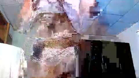 daniela_hornyts online show from November 10, 7:20 am