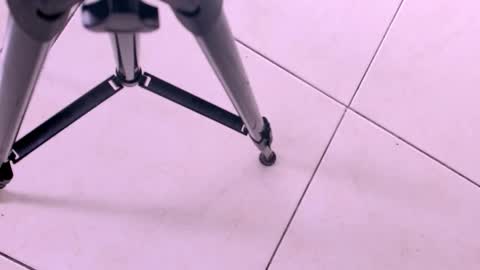 emily_castillo1_ online show from November 18, 3:28 am