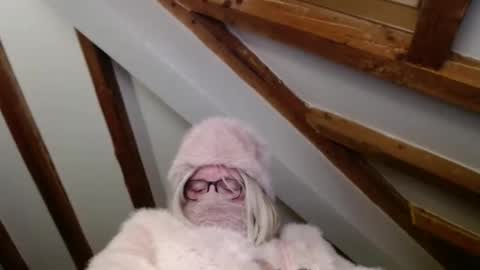 Dany online show from January 4, 7:02 pm