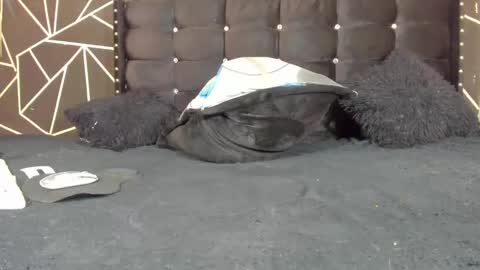 gabrielarose1 online show from September 16, 6:23 pm