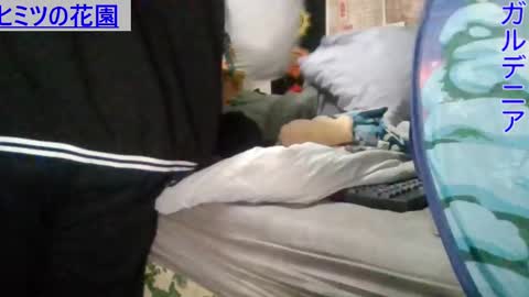 Gardenia online show from March 1, 7:09 am