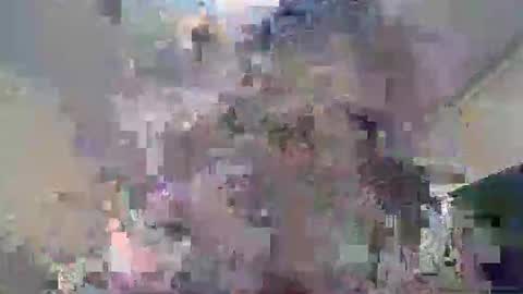 Jazzmin Alexandria online show from October 18, 10:41 am