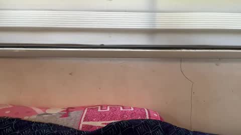 holly_wyn online show from April 21, 1:42 am