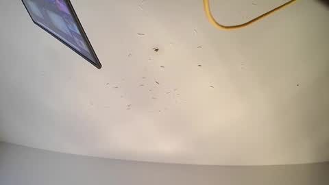 hornybabywetsyrup online show from March 1, 11:10 pm