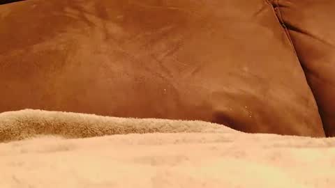 BigFTMdick online show from January 13, 5:12 am