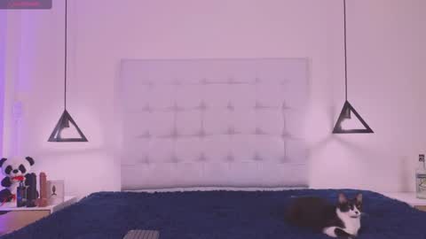 Cattleya stone online show from February 18, 4:04 am