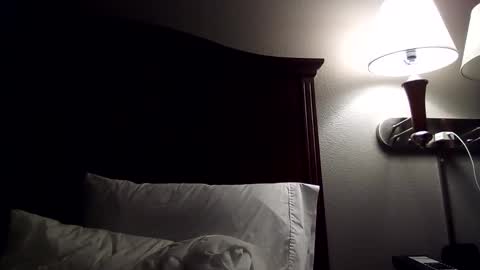 Steve online show from January 16, 8:54 am