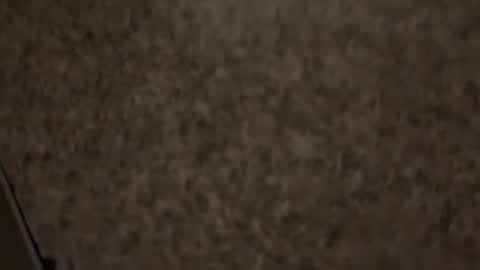 Kilo Carter online show from May 28, 4:54 am
