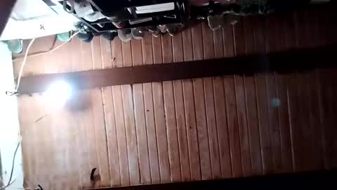 krisstal703358 online show from November 9, 8:37 am