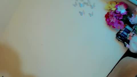 Stella online show from March 3, 11:56 pm