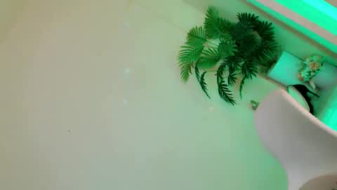 Stella online show from December 2, 10:46 pm