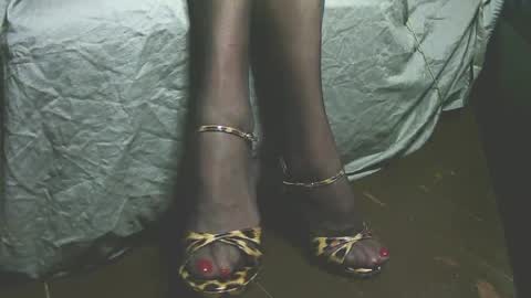 lana_legs53 online show from April 19, 5:52 am