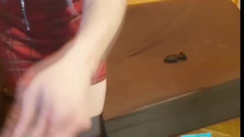 Lilli Sissy SlutCat online show from November 2, 11:47 pm