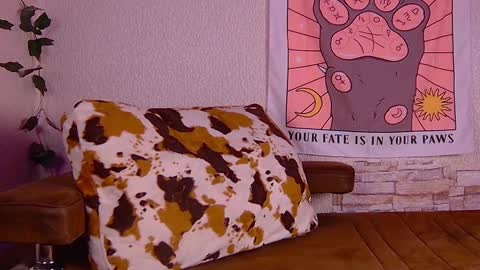 Sofia online show from February 5, 6:15 pm