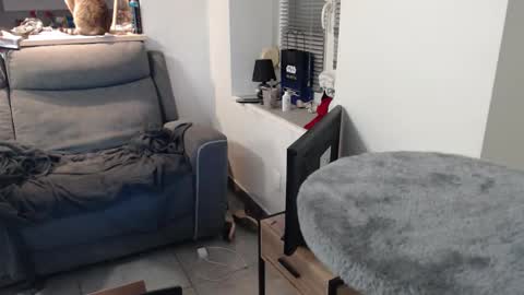 missthon online show from December 5, 2:12 pm