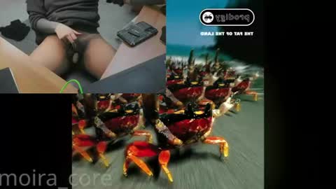 moira_core online show from July 24, 10:14 am
