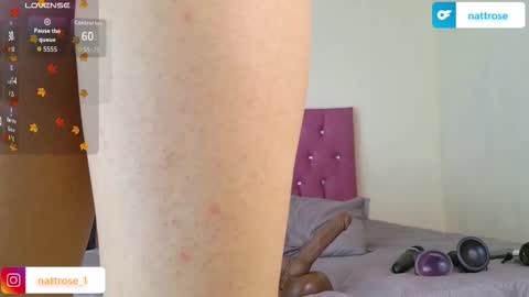 Natt  online show from November 12, 11:09 am