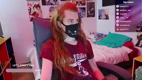 Neko online show from February 8, 5:19 pm