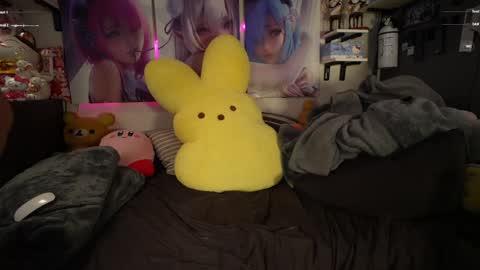 NyxRaven online show from January 24, 11:15 am