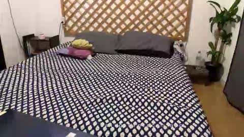 Mateo online show from October 2, 11:55 am