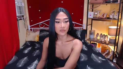 patring292004 online show from November 6, 8:47 am