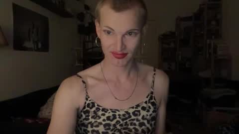 pinkfag online show from December 19, 1:33 am