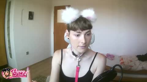 puppy_liza online show from June 2, 7:21 am