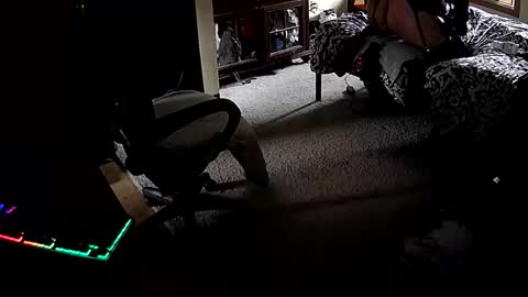 RobinHEAD online show from November 10, 3:13 pm