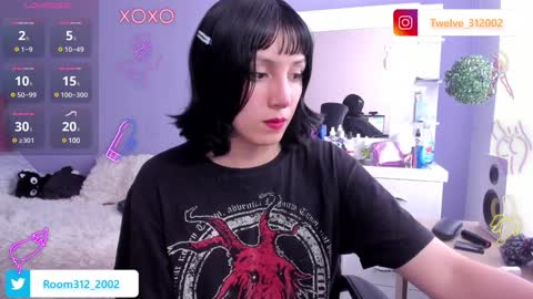 Twelve 3 Inst Twelve 312002 Twitter Room312 2002 online show from January 4, 6:19 pm