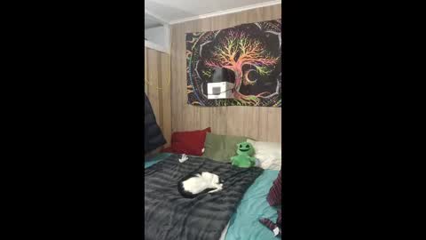 DestinyMagick online show from February 25, 1:54 am