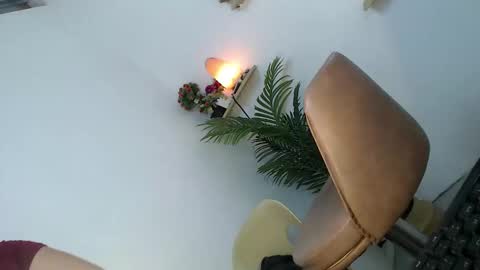    online show from November 27, 1:03 pm