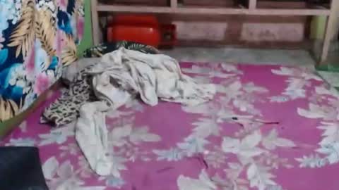 sexy_mara31 online show from March 21, 8:52 am