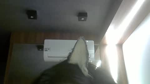 skinnykittencam online show from February 20, 6:26 am