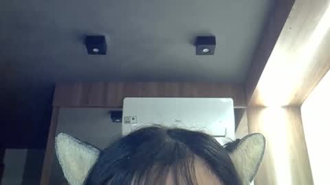 skinnykittencam online show from April 17, 2:14 am