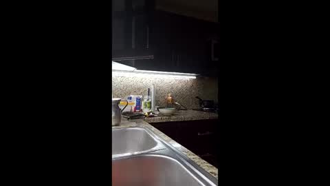 starfire_baby online show from March 25, 3:01 am