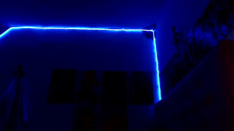      online show from December 13, 7:53 pm