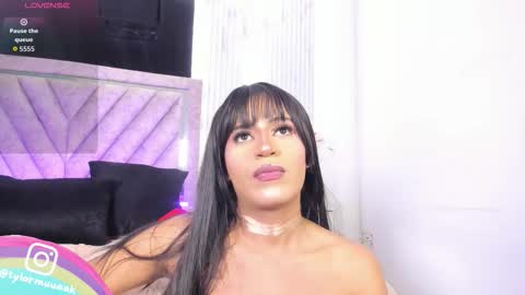 Taylor Harveey online show from November 19, 9:26 pm