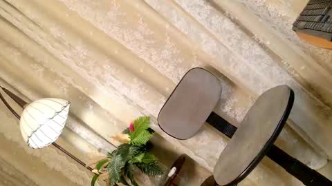 Chloe online show from February 11, 11:07 am