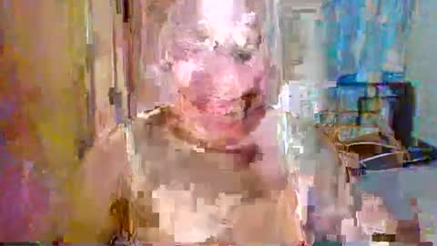 janah online show from September 11, 3:04 am