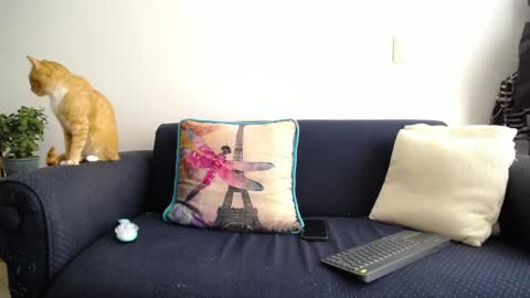 Violeta Gmez online show from March 12, 2:56 pm