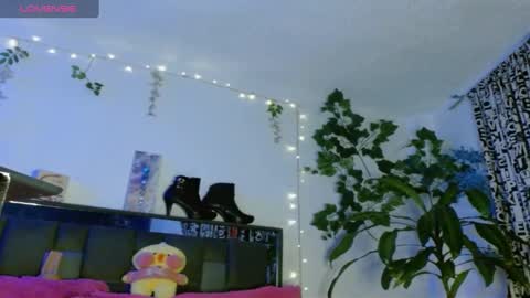 zoemi online show from January 31, 3:20 am