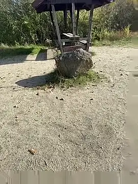 Sirina80 online show from October 19, 11:46 am