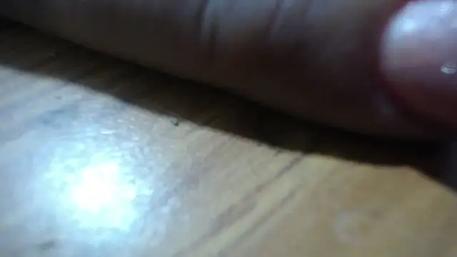 Nikoll Dirty online show from October 1, 2:45 am